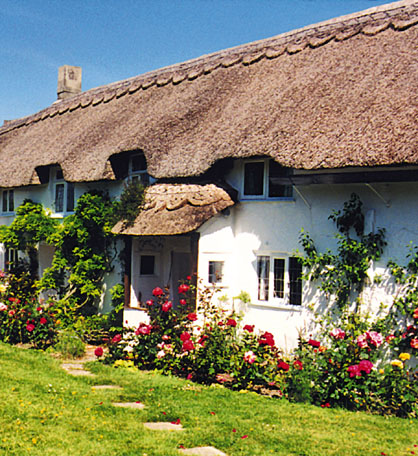 Cottage - East Devon