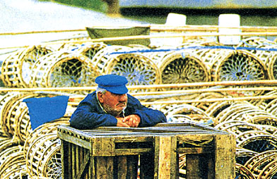 Fischer.JPG (71641 Byte)